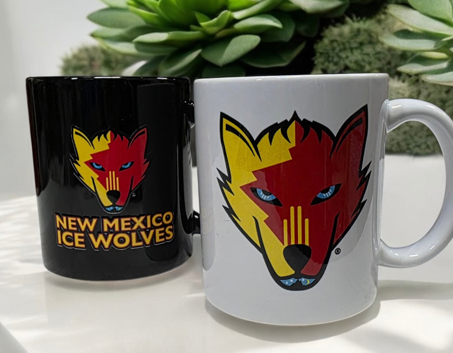 NMIW Coffee Mug