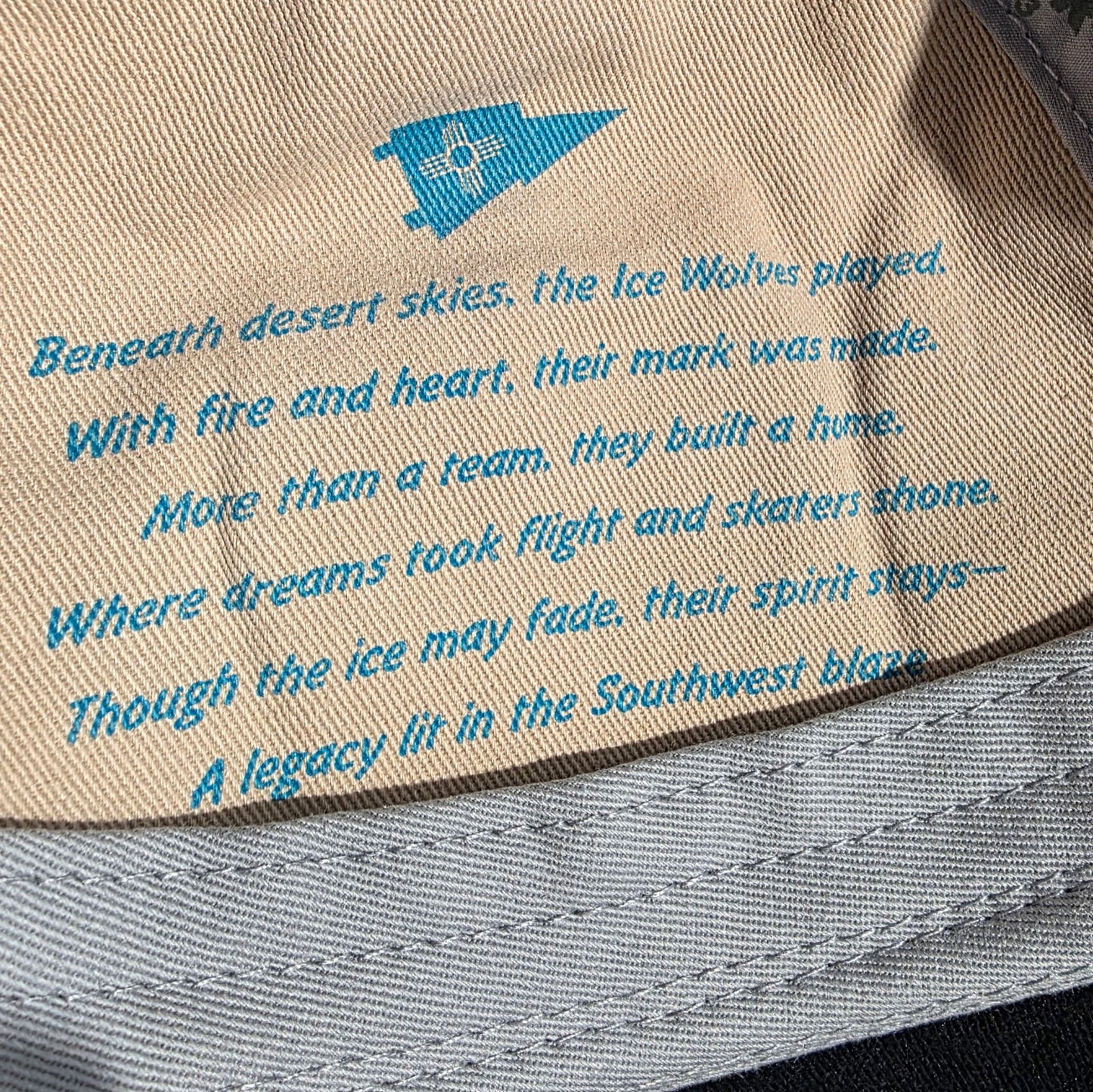 NMIW Distressed Verse Cap