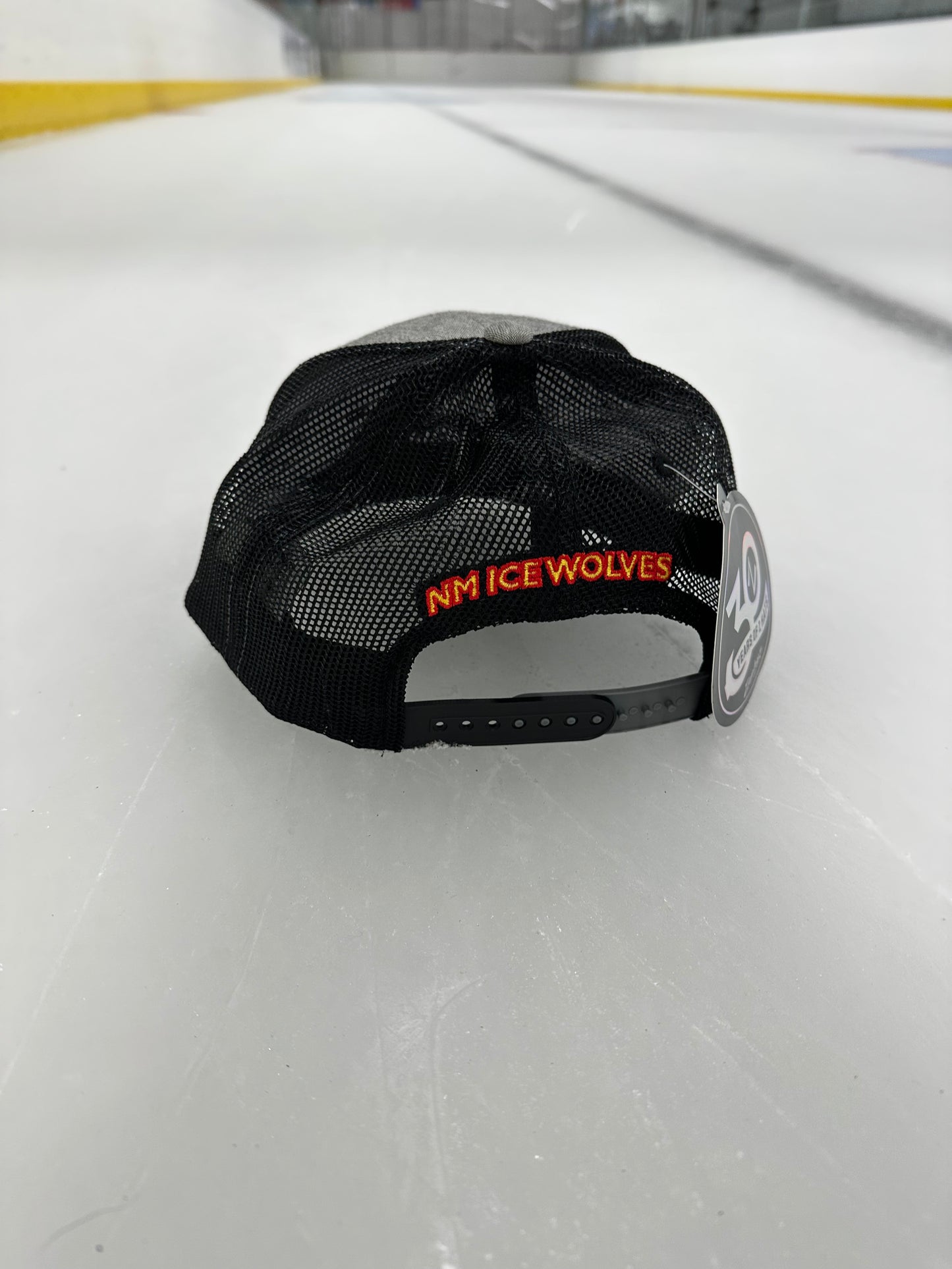 NMIW Gray Trucker Hat