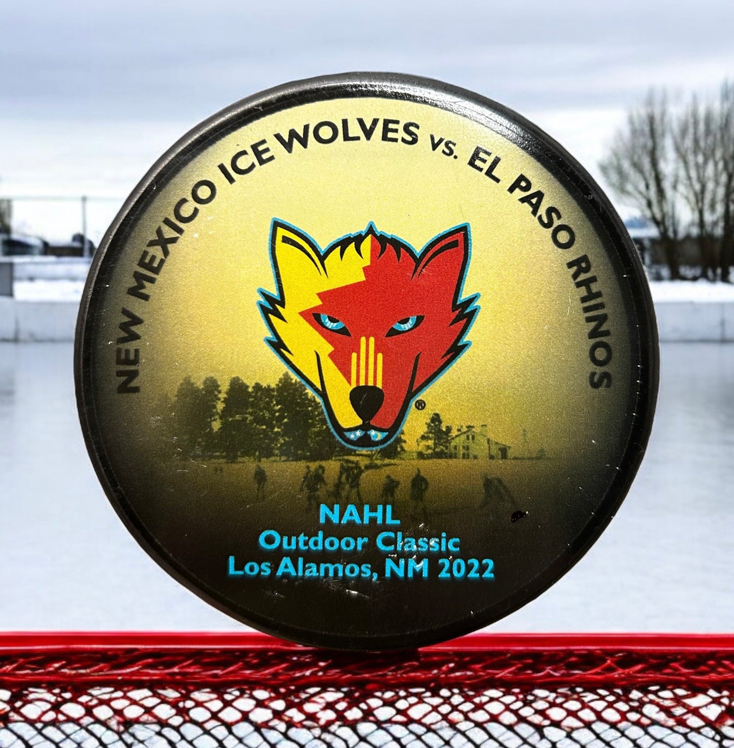 NMIW Outdoor Game Puck